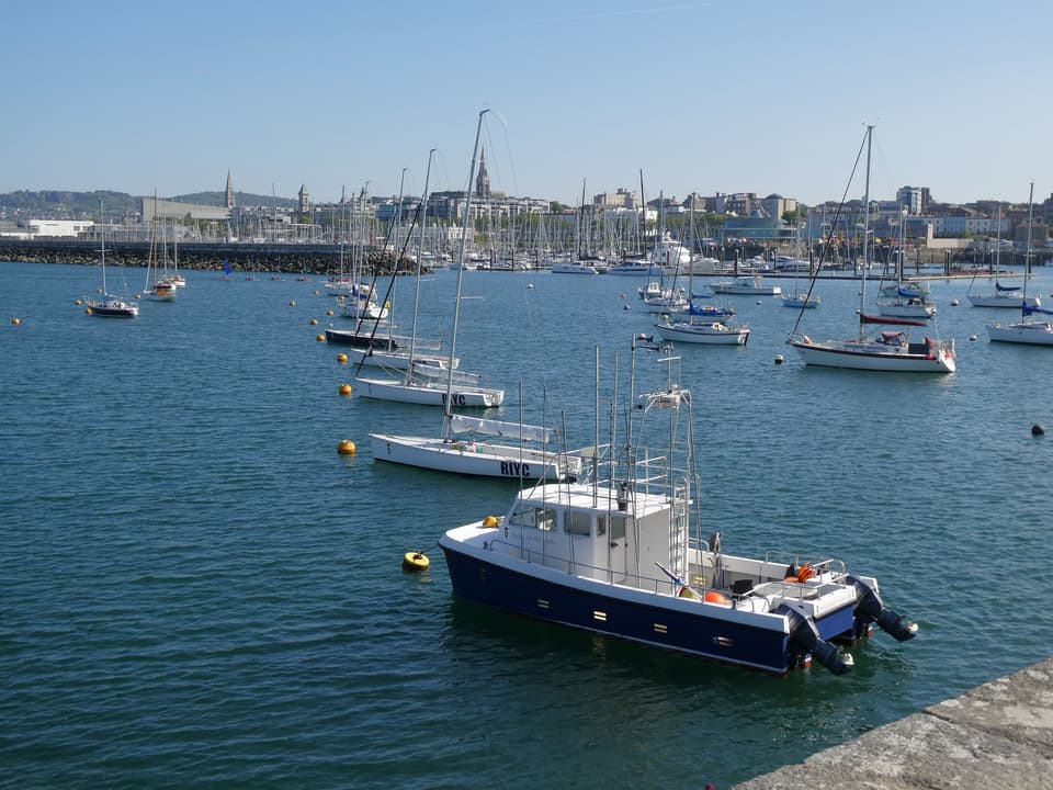 Boats moored in Dún Laoghaire harbour with the town's church spires and buildings behind.