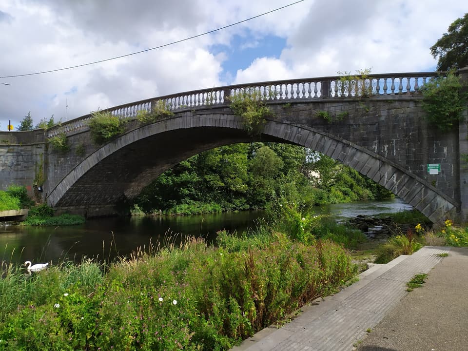 Lucan Bridge, a single stone arch with a balustrade, crossing the River Liffey among trees.